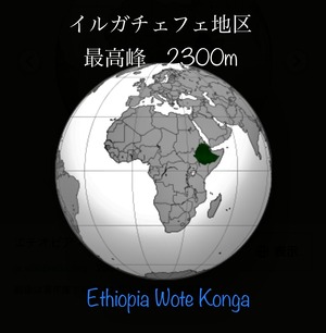 new イルガチェフェ最高峰　Ethiopia Wote Konga 200g