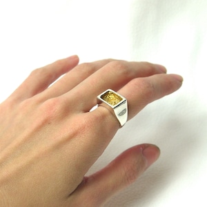 VUR-41 "swim" ring