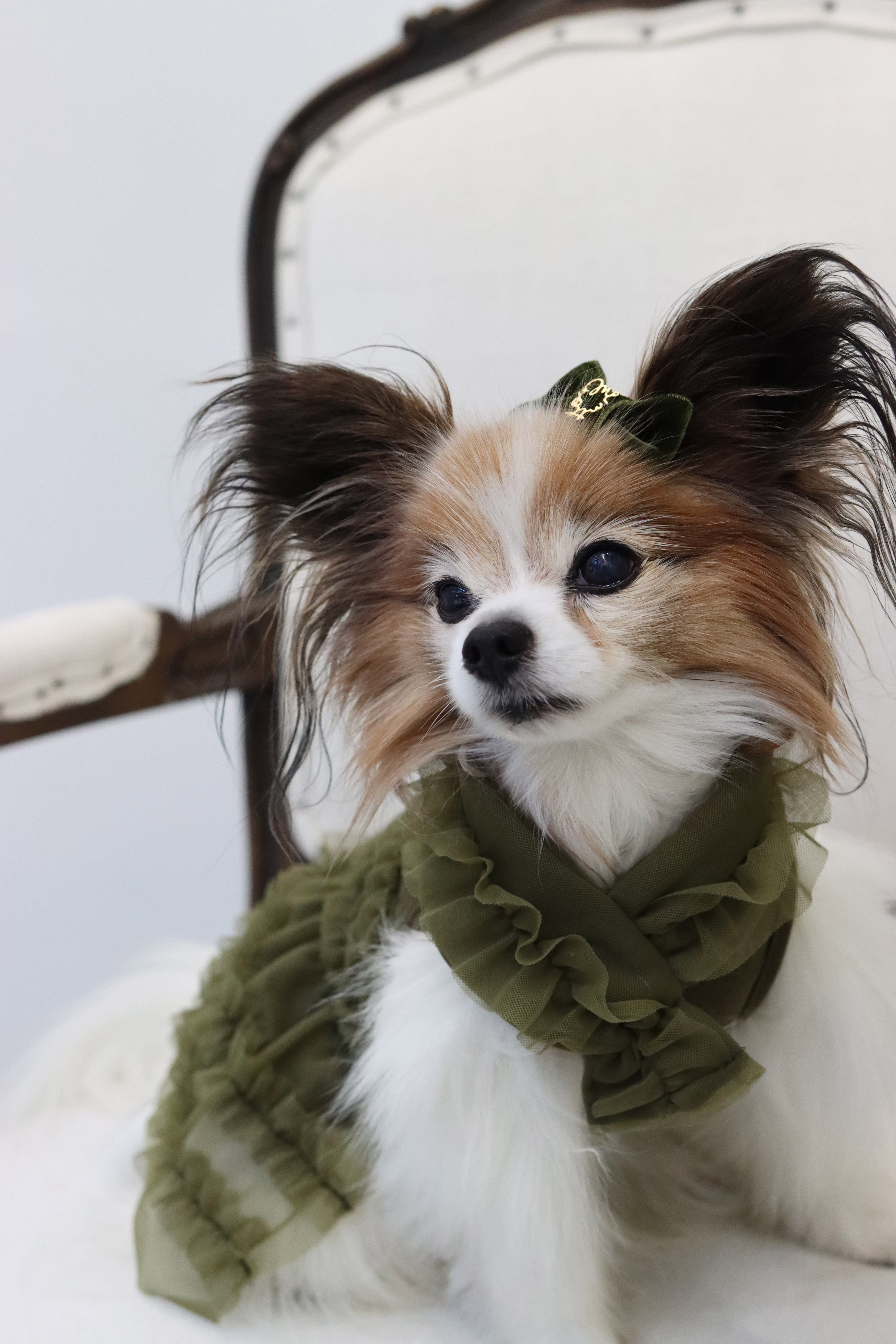 Barrette Velour | Mimtto