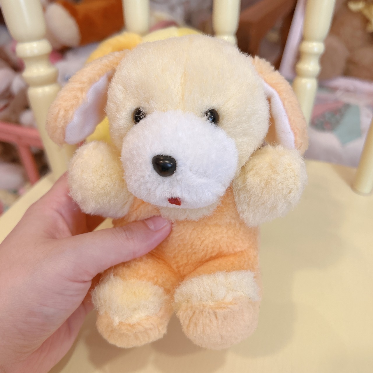 dogの画像07