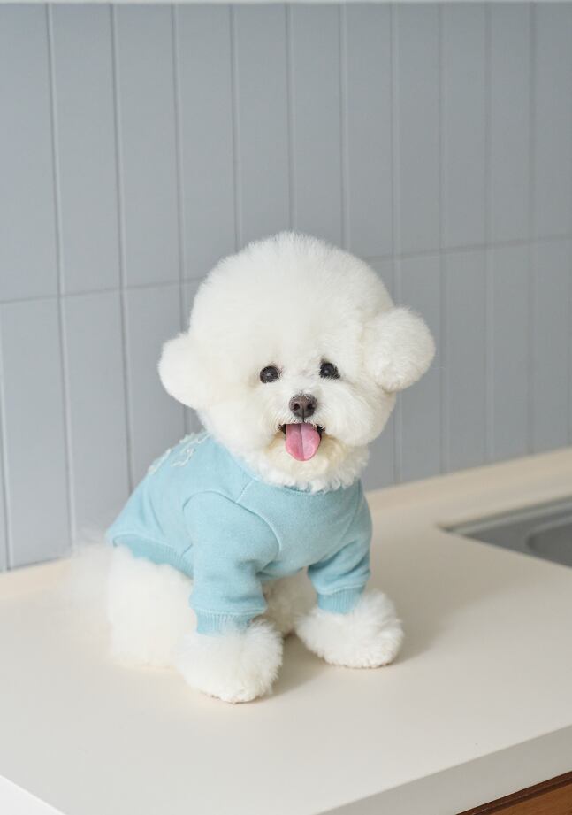 予約【noutti】Groovy Sweatshirt (SkyBlue)