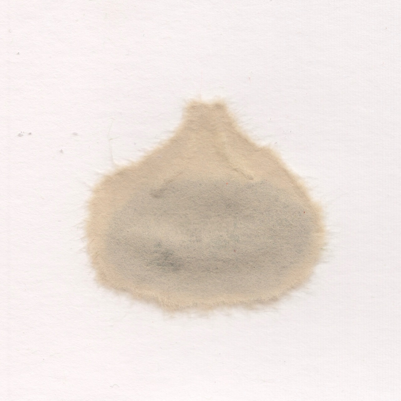 小籠包　Xiao long bao