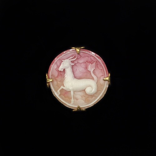 Zodiac sign round big ring: Capricorn