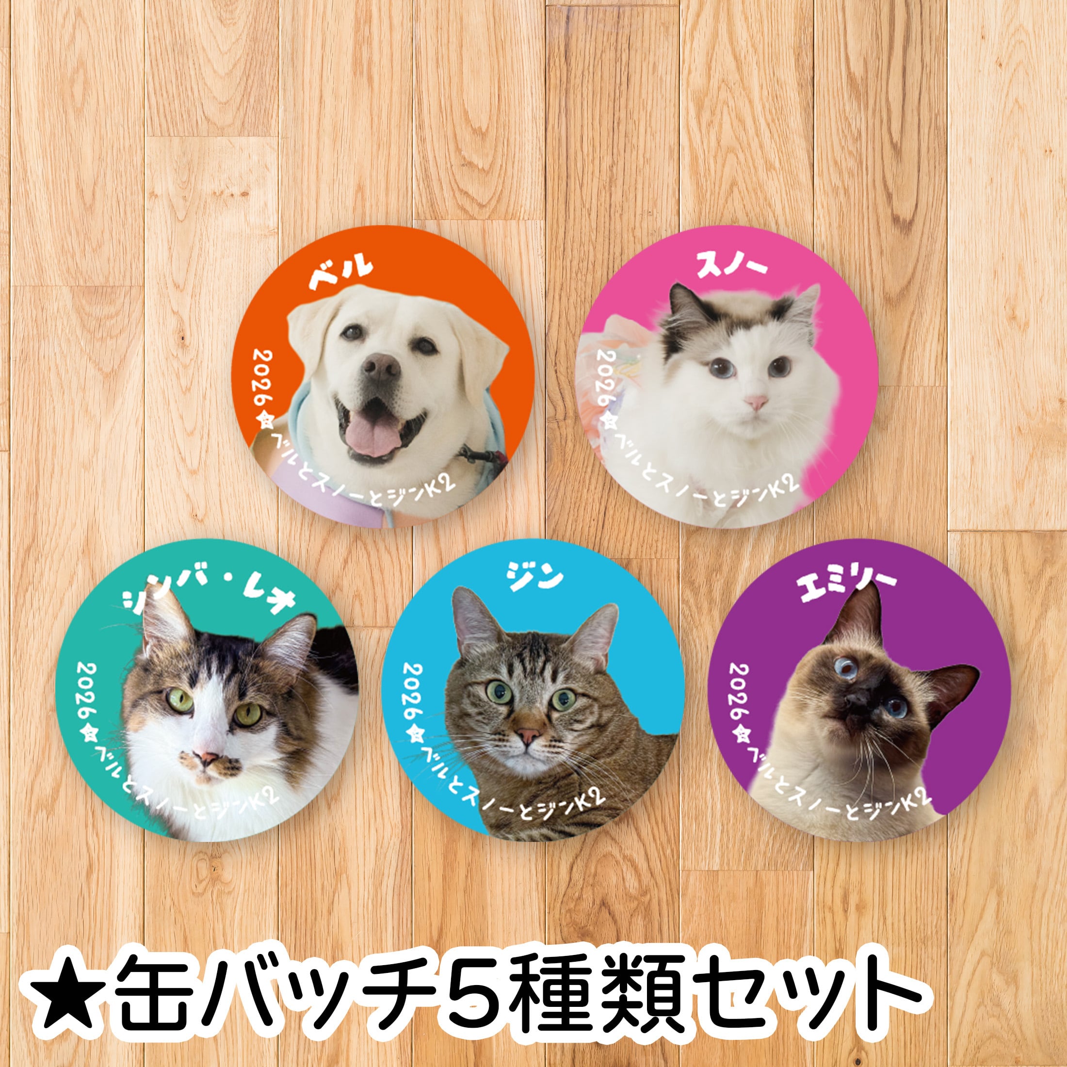 缶バッチ5種類セット《数量限定》【12月上旬お届け予定（送料込