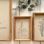 チーク材フレーム ポストカードサイズ