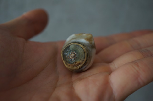 ゴビアゲート Gobi Agate 2166