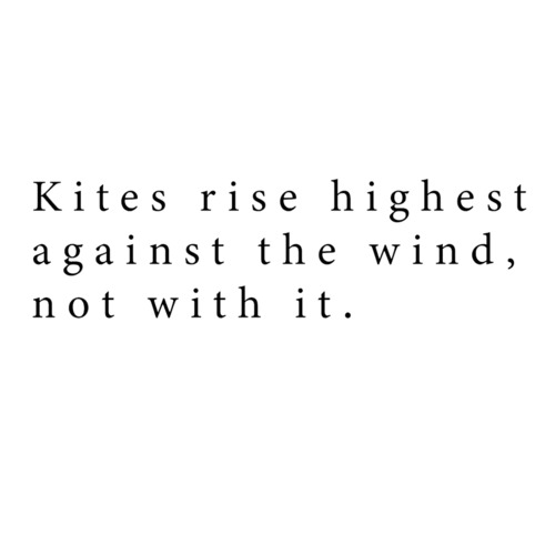 ウォールステッカー 名言 Kites rise highest ウィンストン・チャーチル 黒 マット カイト 風が吹けば