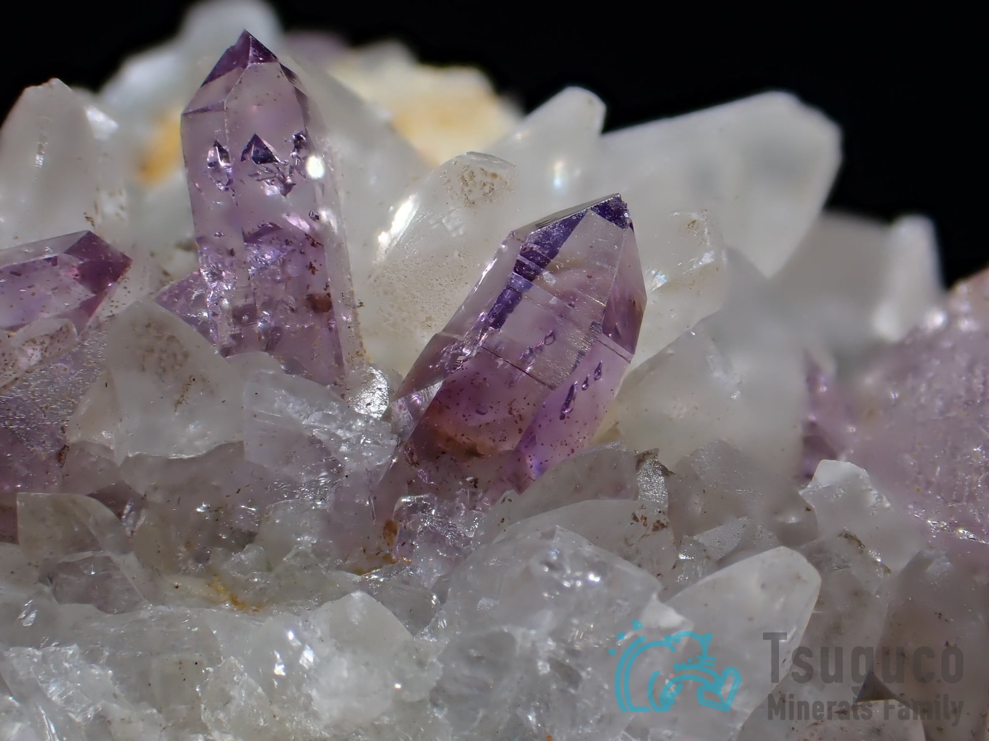アメシスト アメジスト 紫水晶 ボリビア TM-535 | つぐこみねらるず