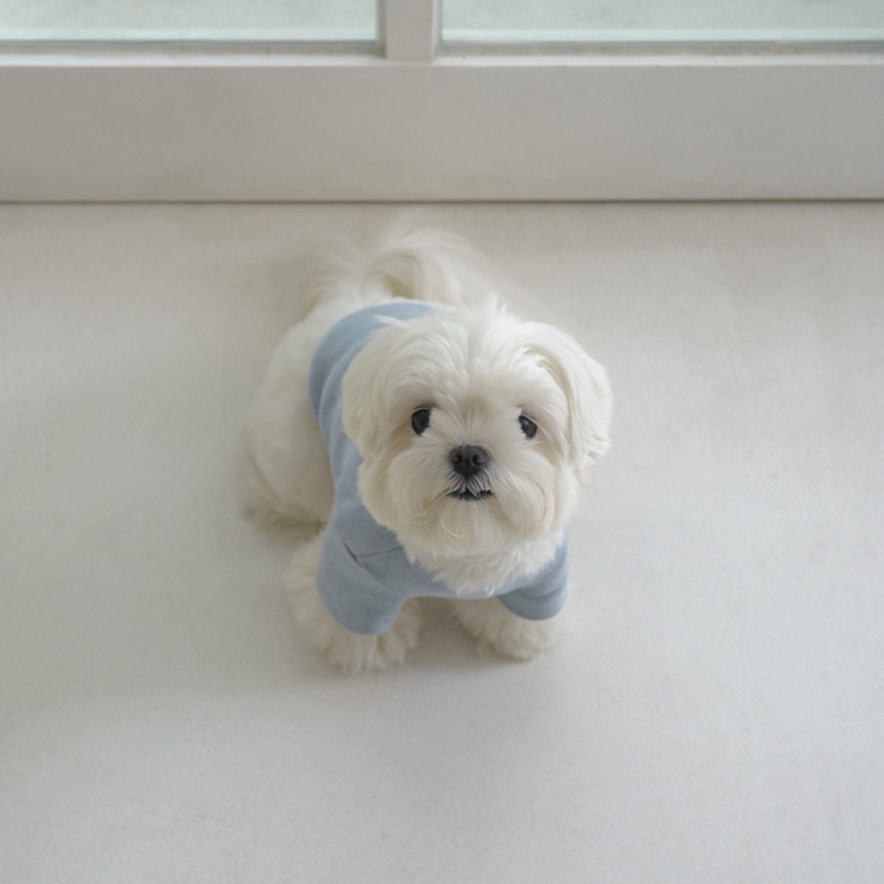 【即納｜一部予約】[ togethering ] Eyelet Crop T-shirt｜Light Blue - 9