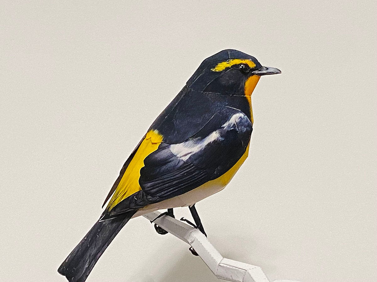 01641c3c2d353891de7dba0bf91adc