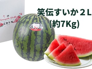 笑伝大玉すいか1個【2Lサイズ約7~8kg】