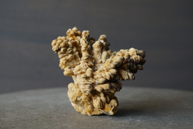 ポーランド産バライト/マーカサイト Barite / Marcacite 1667