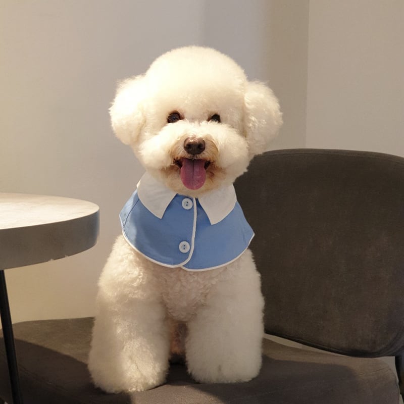 犬服・アクセサリー H.A 楽天市場】犬用 ペットカート クッション 2way 花柄 レース あごのせ