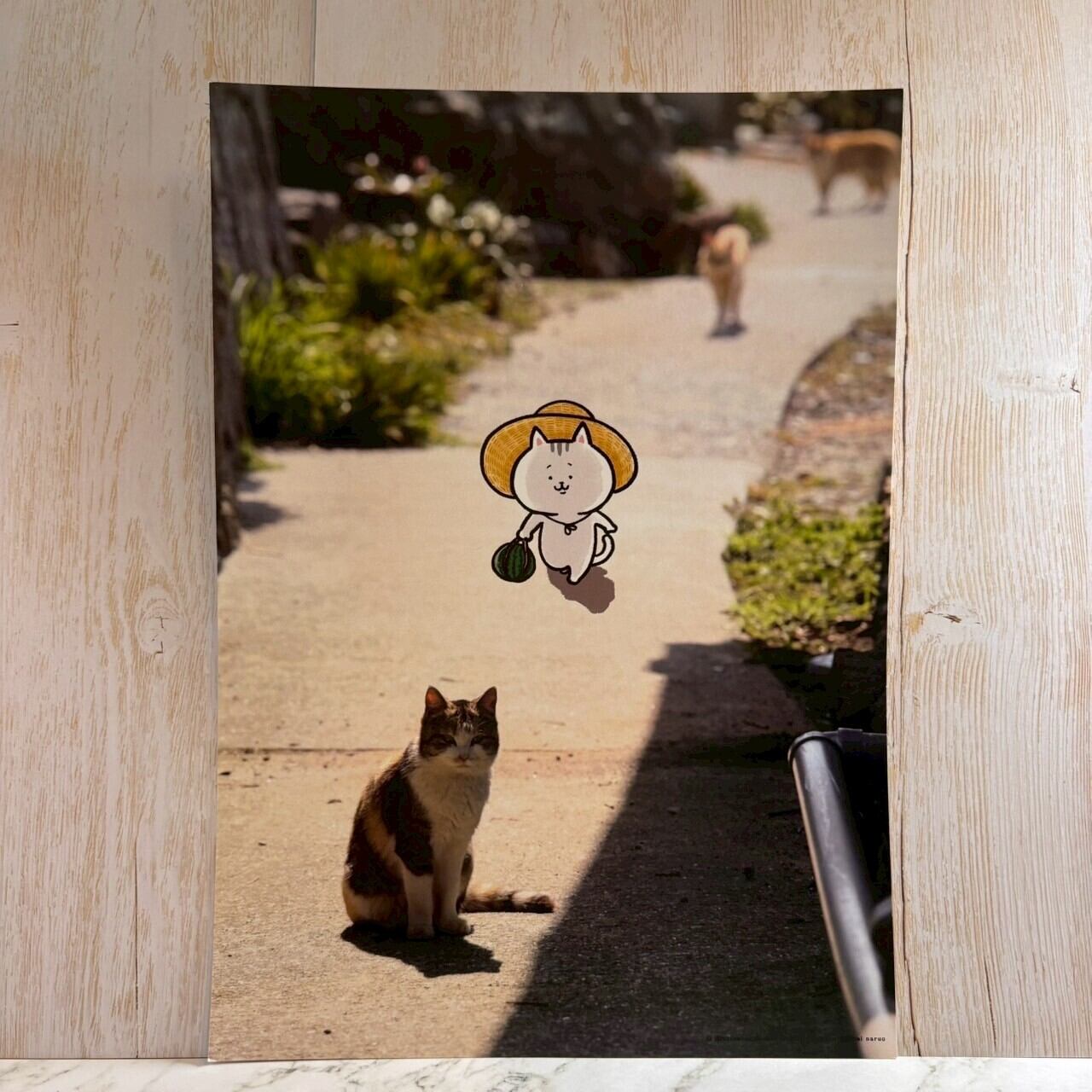 【写真×イラストコラボ】猫島猫の日常 A4アートプリント01 夏の思い出