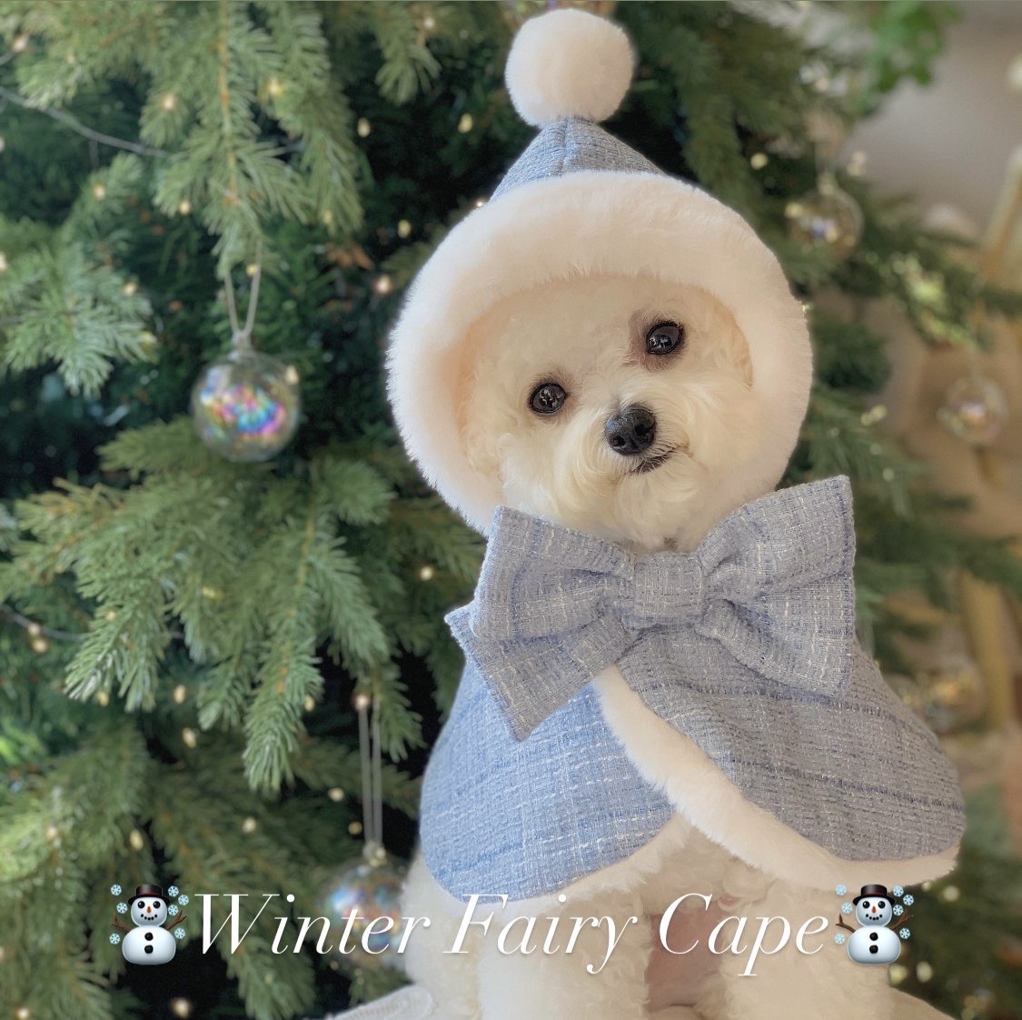 【専用BOX】leo 様