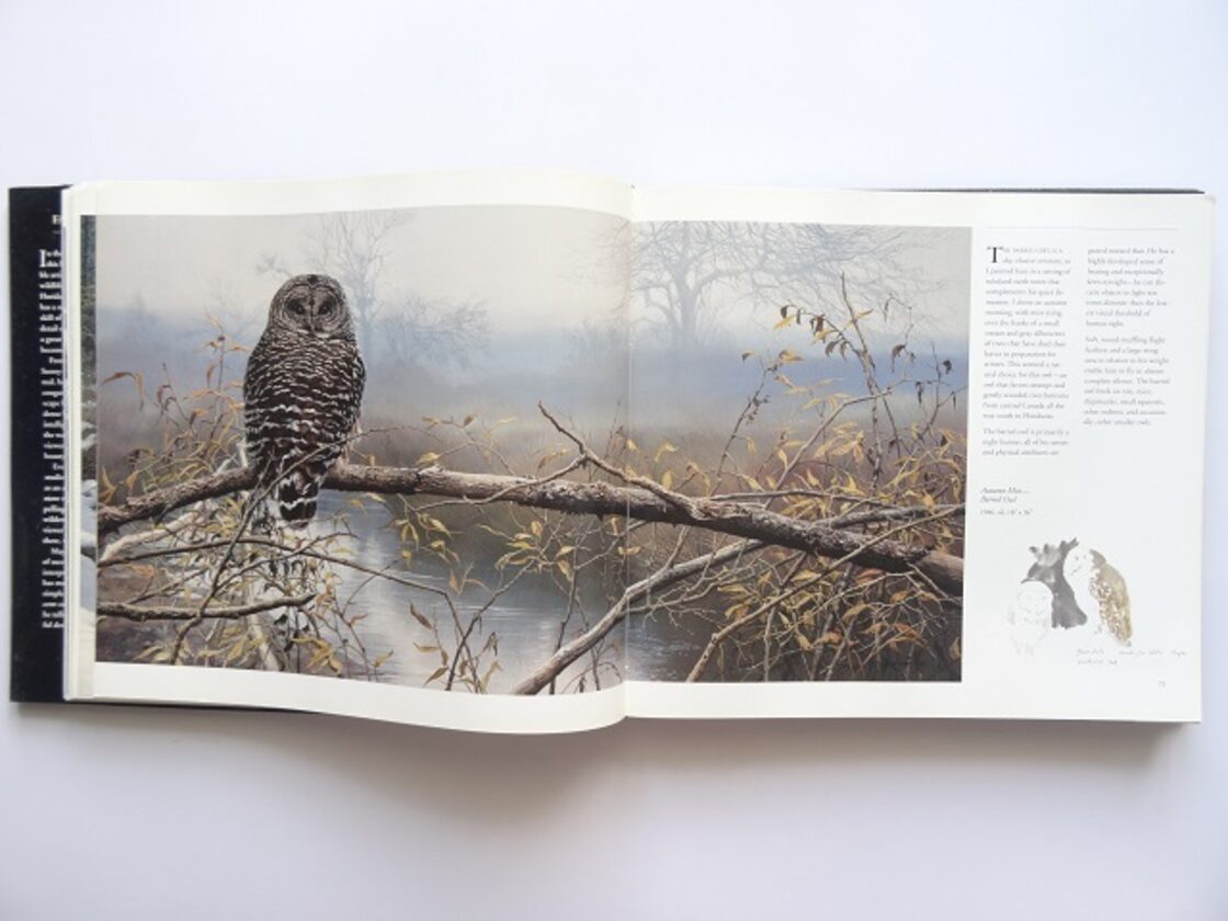 洋書◇動物の画集 作品集 本 絵画 ゴリラ キツネ フクロウ トラ シャチ 