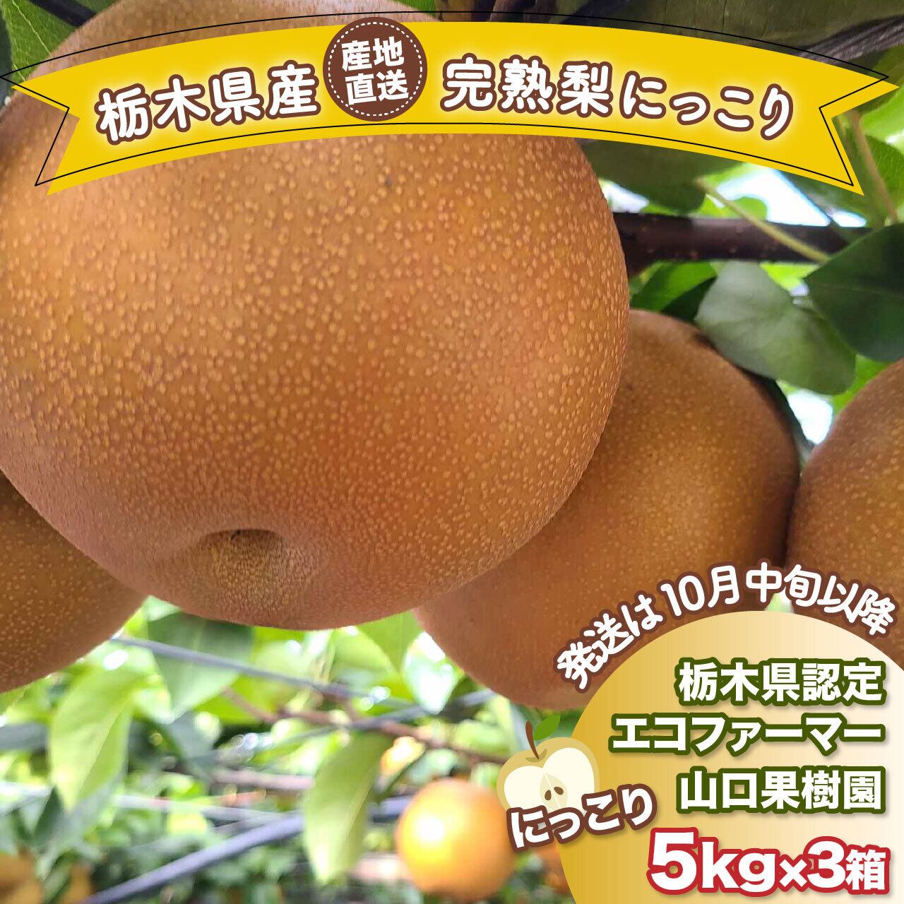 はる　2箱　にっこり梨 完熟梨 にっこり 5kg×2箱 | 山口果樹園｜産直通販「あるよ」応援