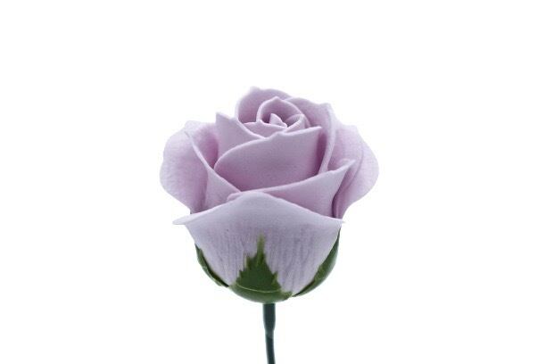 パステルバラT-DP1 ライトラベンダー (15輪入りor25輪入り)