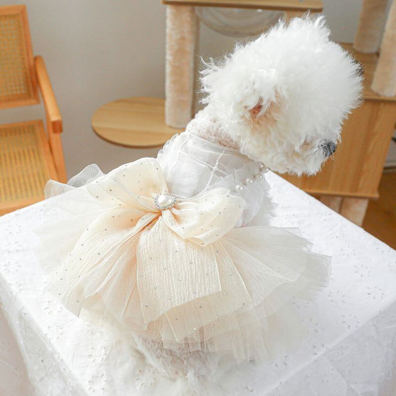 予約】犬服 チュールドレスワンピース リボン付き フリル 上品 お姫様