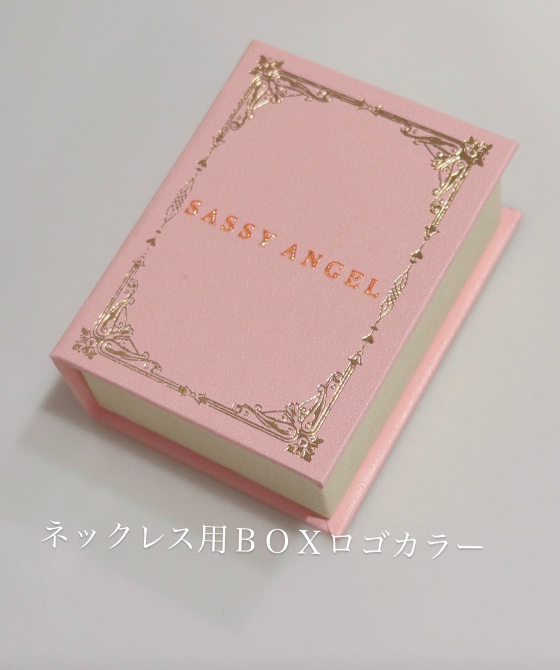 BOOK BOX [216] | SASSY ANGEL