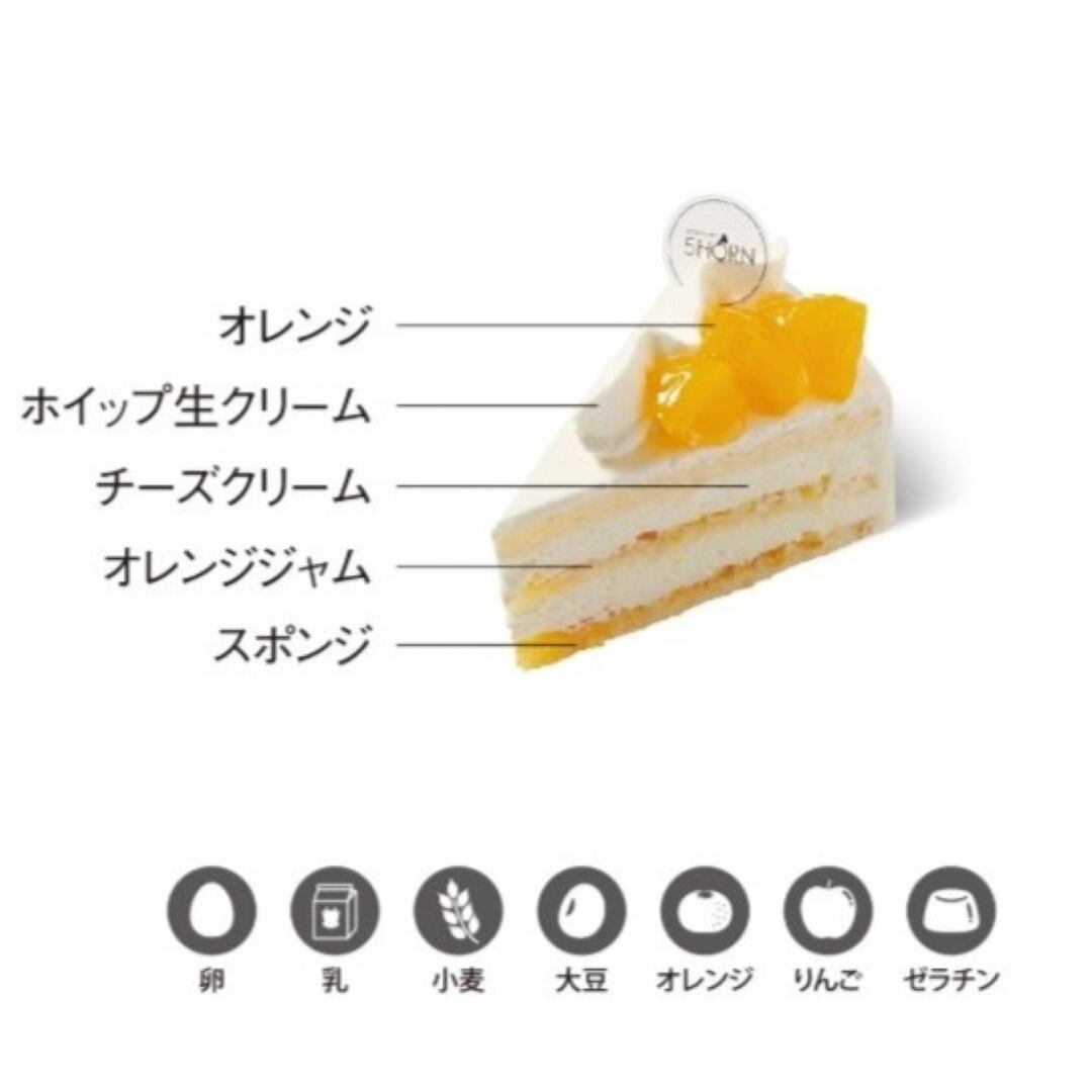 〈5HORN〉オレンジフロマージュ 1個【期間限定 8/4配送分まで】