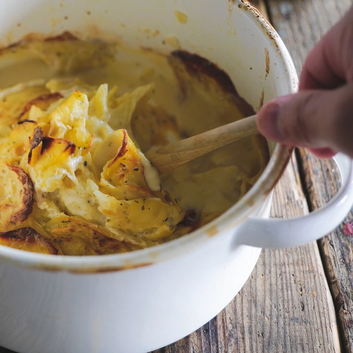 kaico 両手鍋 | FORMLADY