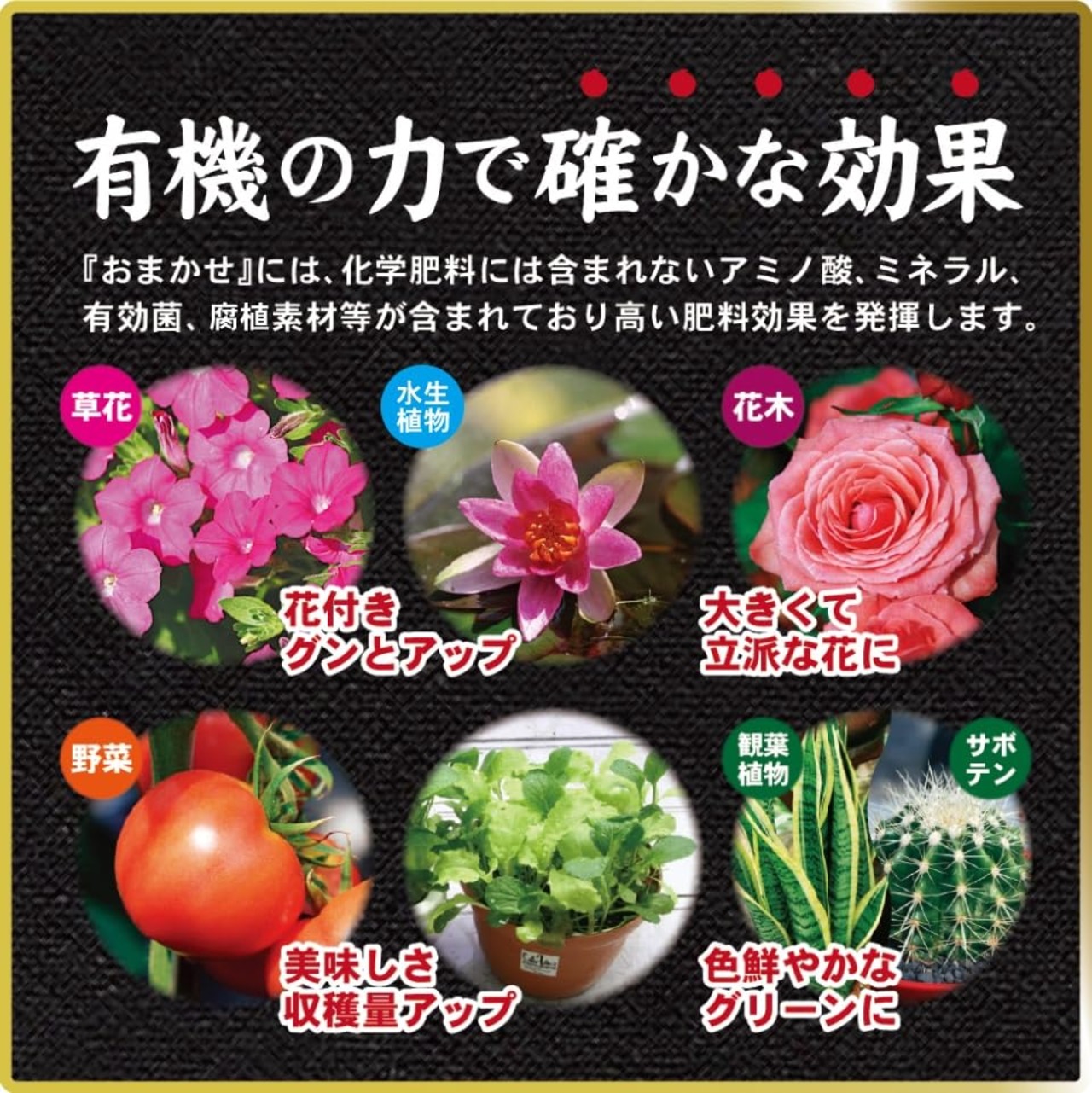 東商 超醗酵油かすおまかせ 中粒 700g