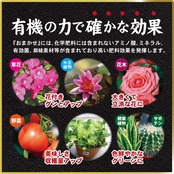 東商 超醗酵油かすおまかせ 中粒 700g
