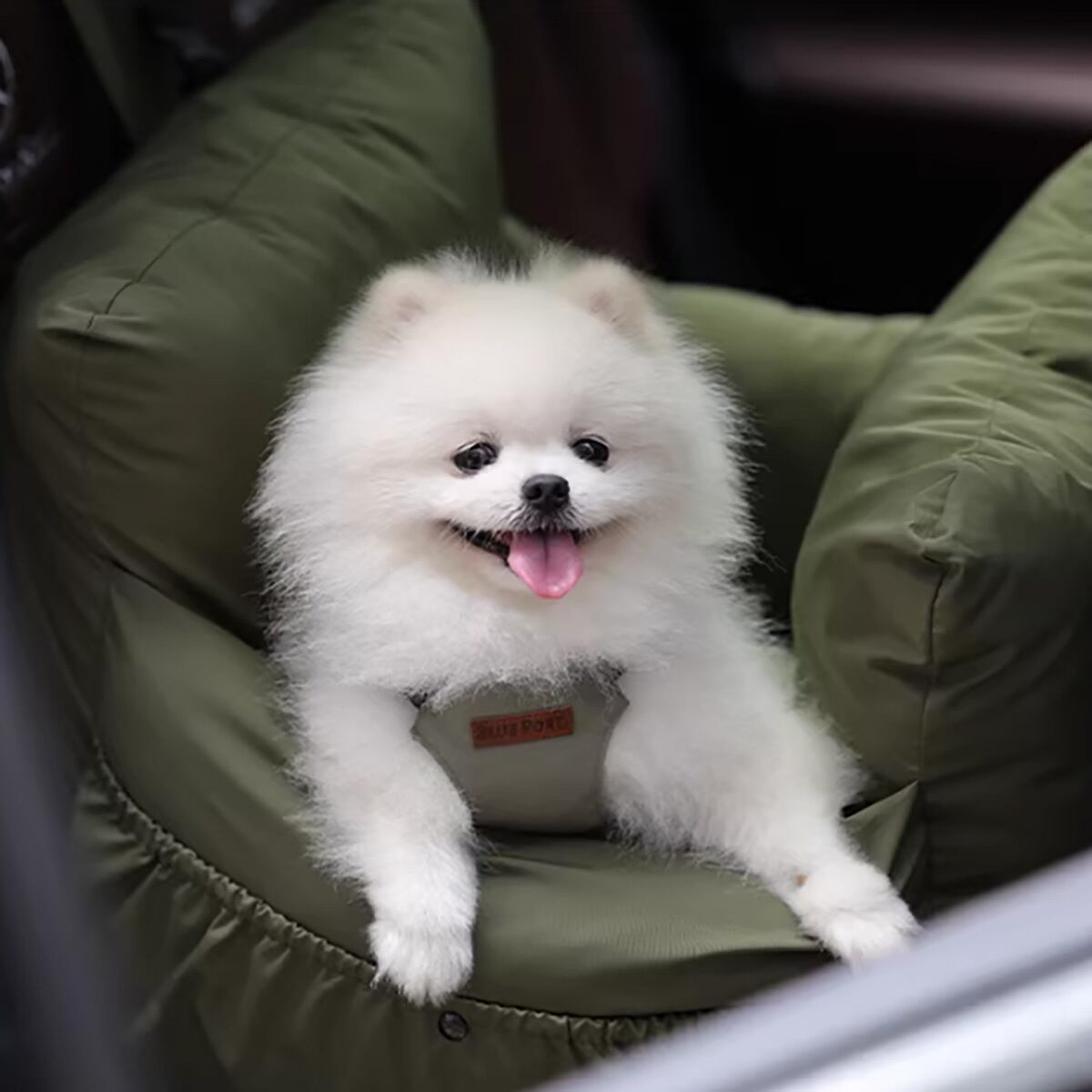 車載専用 小型～中型犬用ペットベッド | ZOZO SHOP