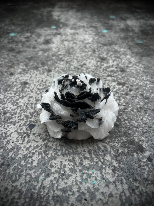 CANDLE FLOREALE
