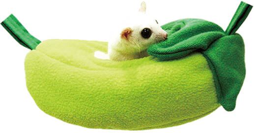 【小動物用品】ゆらゆら豆ブランコ