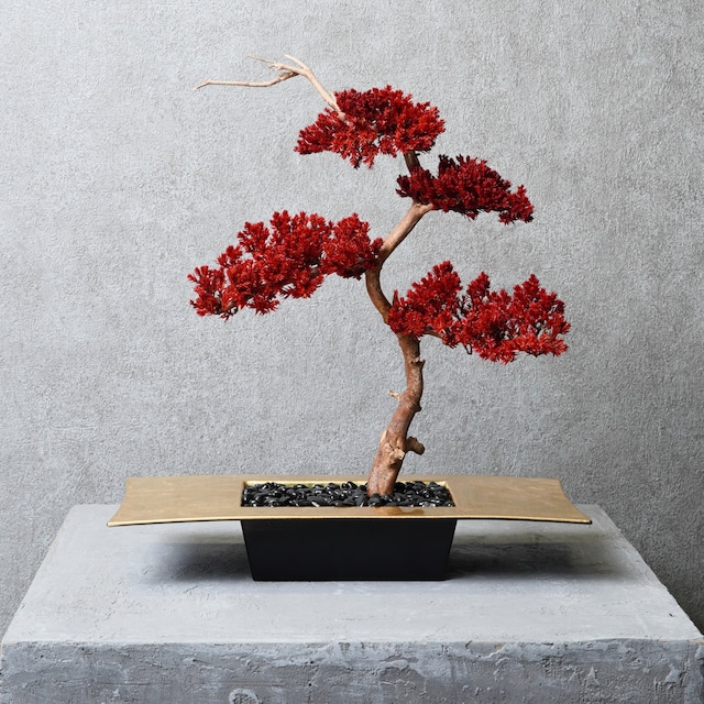 香祥 盆栽鉢 中古】盆栽鉢 初代 石田 祥石 小型 長辺 約 11.8cm 六角鉢