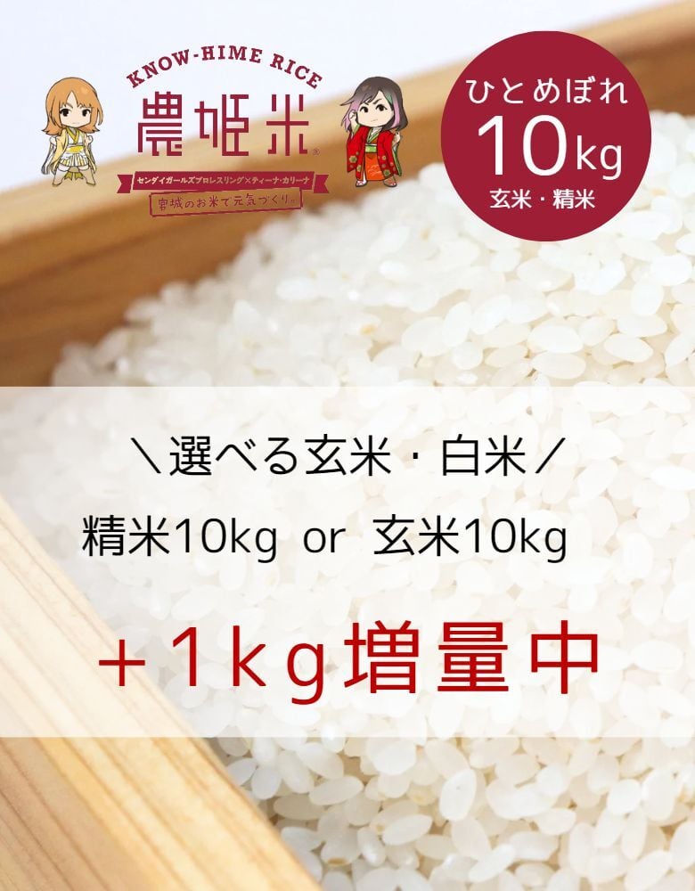 新米】令和5年産ひとめぼれ 玄米10㎏（精米10㎏）【送料無料】 | 【農