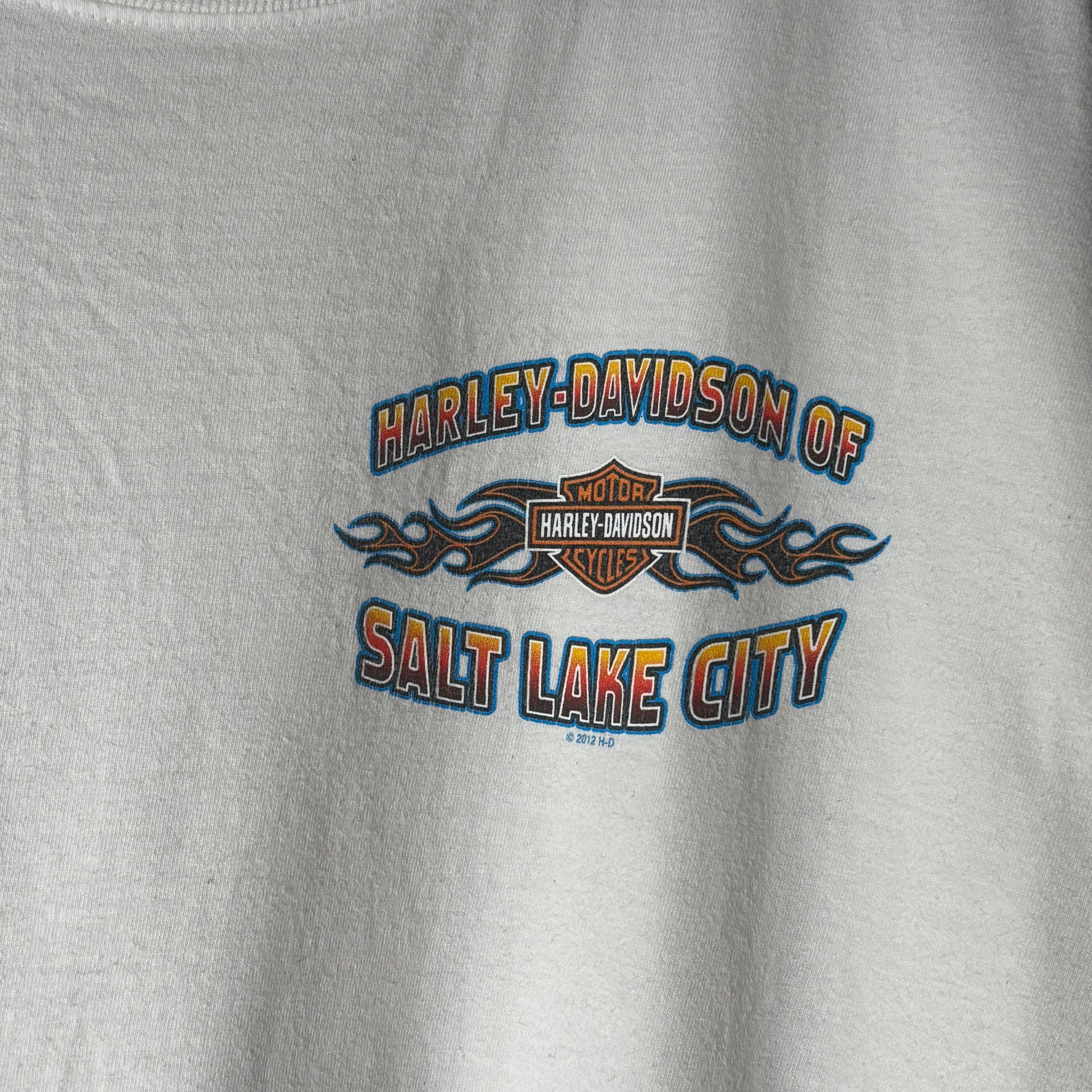 10s HARLEY-DAVIDSON T-shirt ハーレーダビッドソン Tシャツ ホワイト