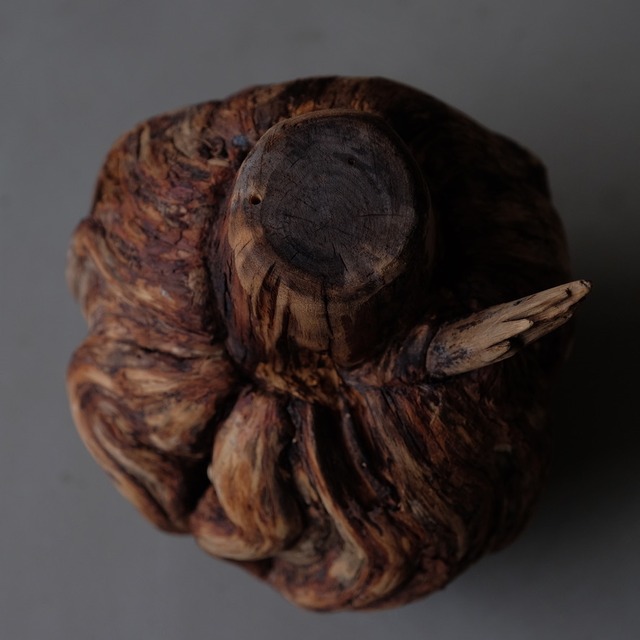 Tree burl