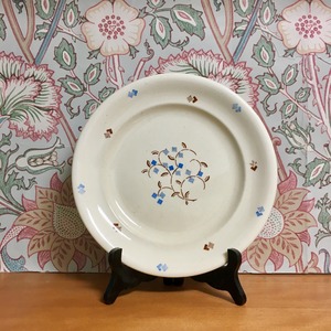 ドイツ COLDITZ社 ステンシルプレート