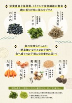 無添加 ＼選べる／ふりかけ 味噌・梅40g 納豆30g 1袋 ジッパー付き 国産素材 体にやさしい だしふりかけ 小袋  送料無料 みそ風味/ ご飯のお供 離乳食 お弁当 味噌汁 / かつお節 おかか あおさ あご とろろ昆布 わかめ ミネラル 化学調味料 保存料 着色料 すべて不使用 完全無添加