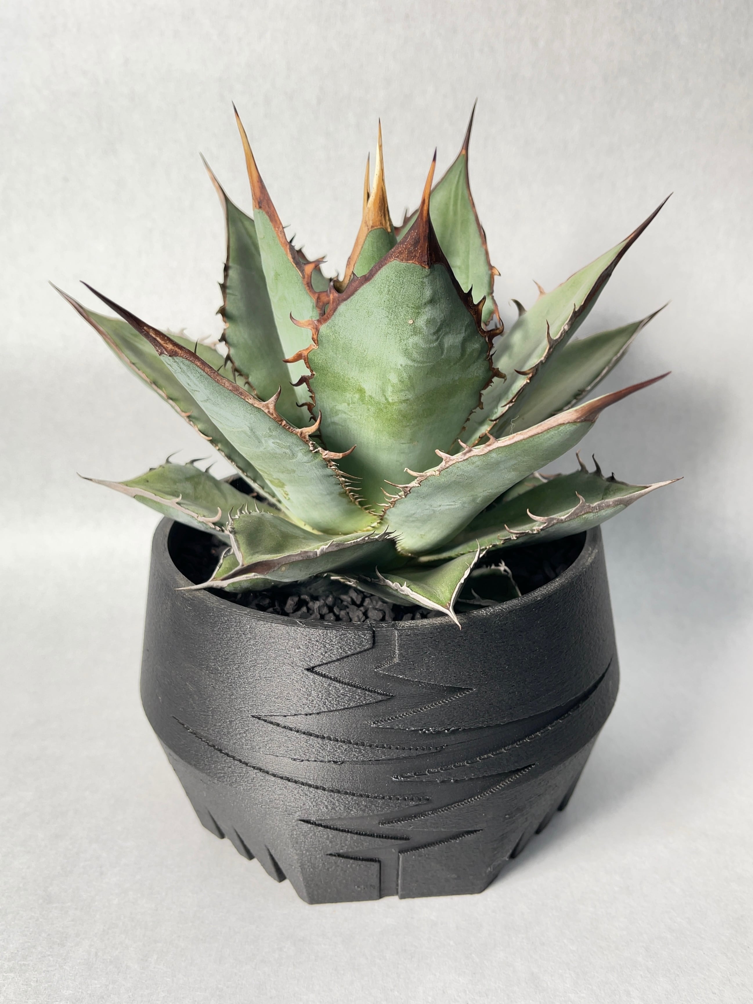 10kg 化粧石 砂 マルチング デコジャリ ブラック アガベ 化粧砂 土