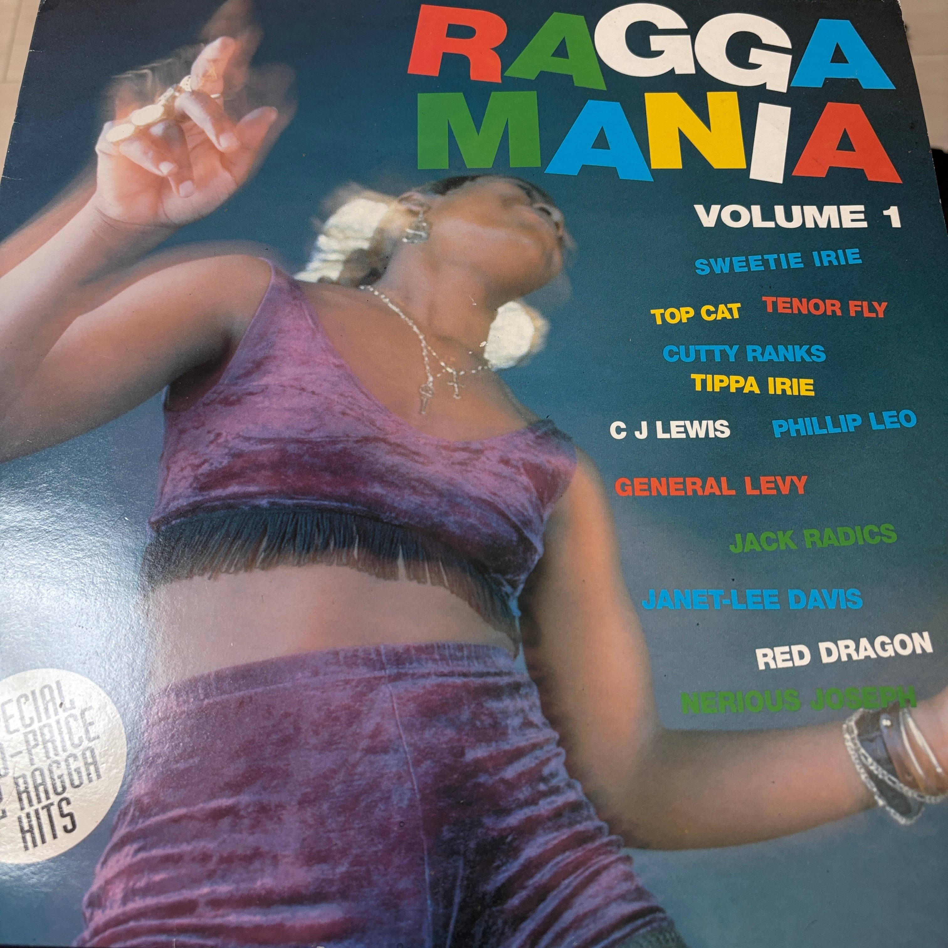 レゲエ 超レア TONY REBEL RUDE BOY STRIKE AGAIN Tony Rebel - Rude Boy Strike Again / Lloyd Robinson - Cus