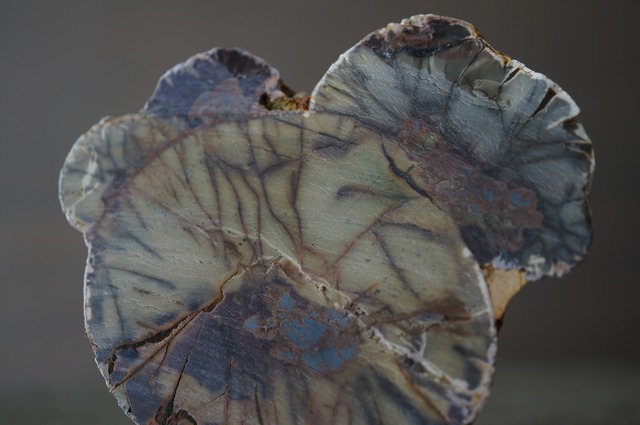 コールドマウンテン・サンダーエッグ Cold Mountain Thunderegg 2364