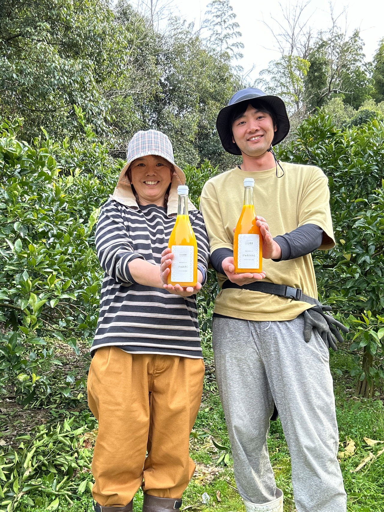 ピュアジュース飲み比べセット3本【丸ごと生しぼり!ゴクゴク飲める♪】ぴゅあみかん・ぴゅあさく・ぴゅあなつ各1本 計3本入り