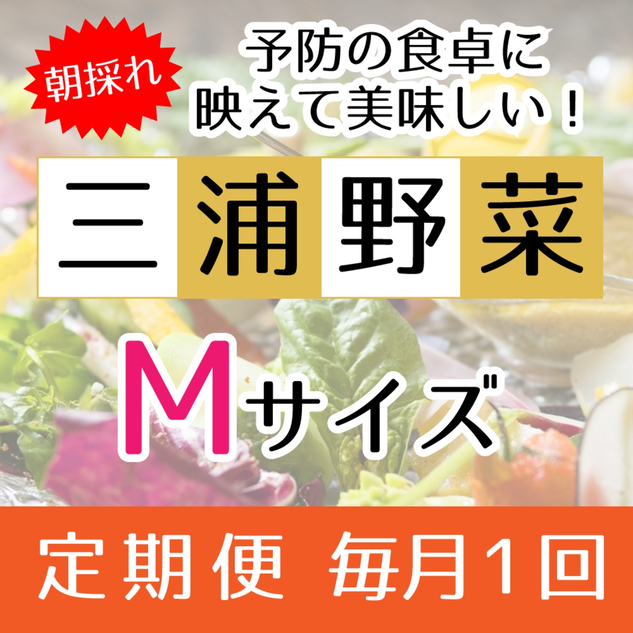 『定期便 毎月1回』【Mサイズ】旬の朝採れ 三浦野菜