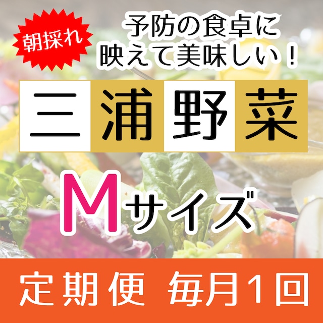 『定期便 毎月1回』【Mサイズ】旬の朝採れ 三浦野菜