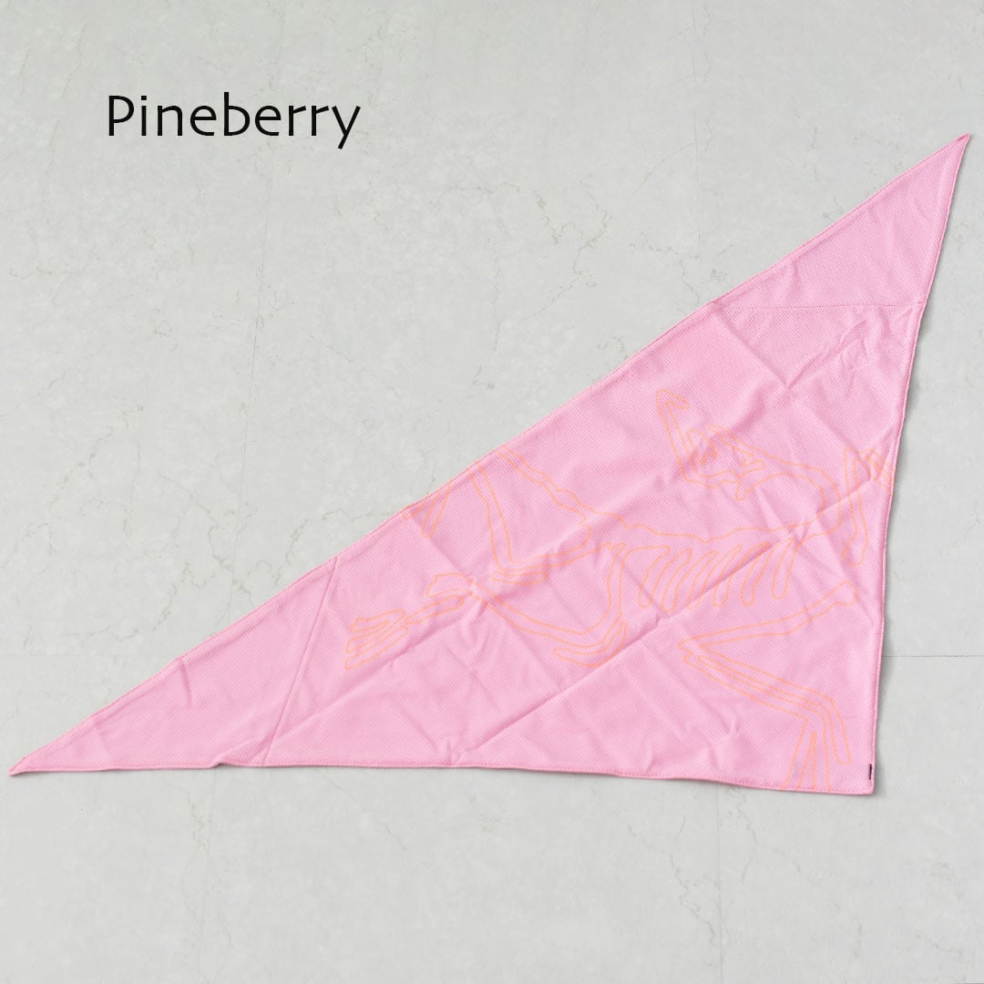 ARC'TERYX [アークテリクス正規代理店] Sinsolo Bandana [X000010184