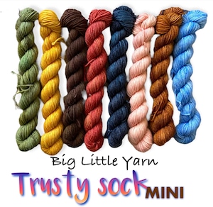 Big Little Yarn / Trusty Sock Mini