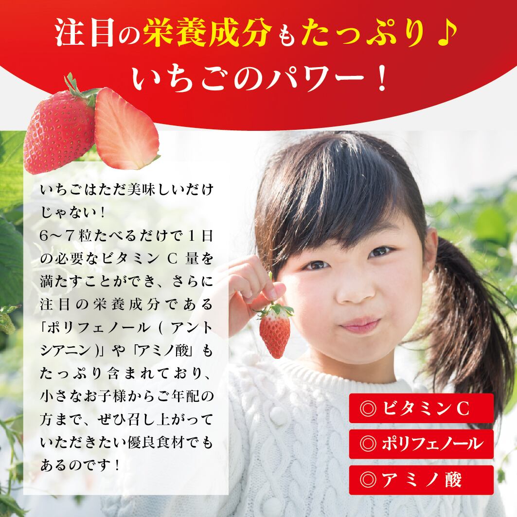 山形いちご「おとめ心」L〜2Lサイズ 2パック 2026年4月発送