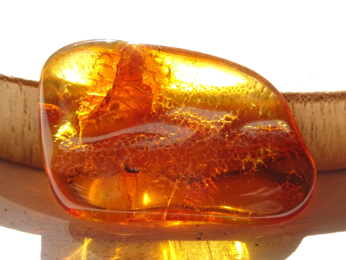 バルト海の琥珀(バルティックアンバー)No.3 ~蜜色の宝もの~