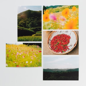 石川直樹 ポストカードセット〈春〉/ Naoki Ishikawa Post Card Set (Spring)