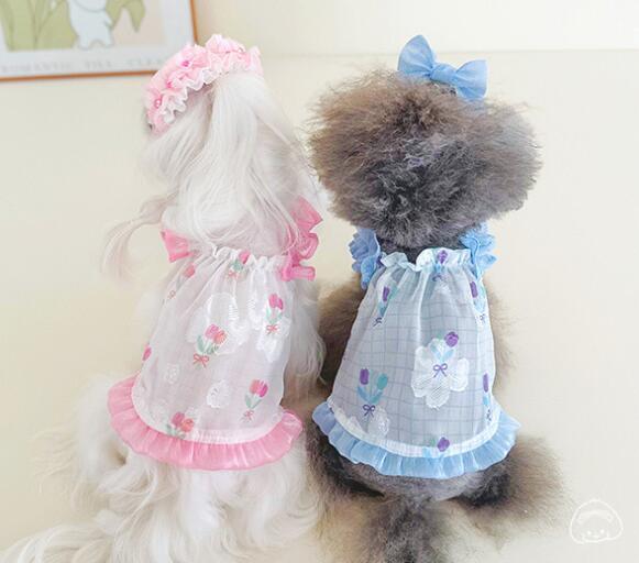 《予約》№2101604 SUMMER”チュチュキャミソール