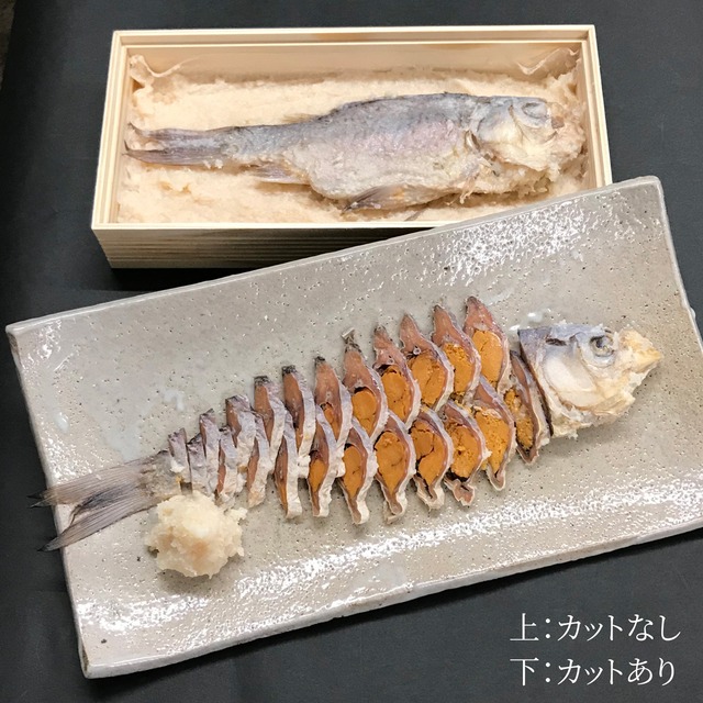 鮒寿し 本漬（31サイズ）